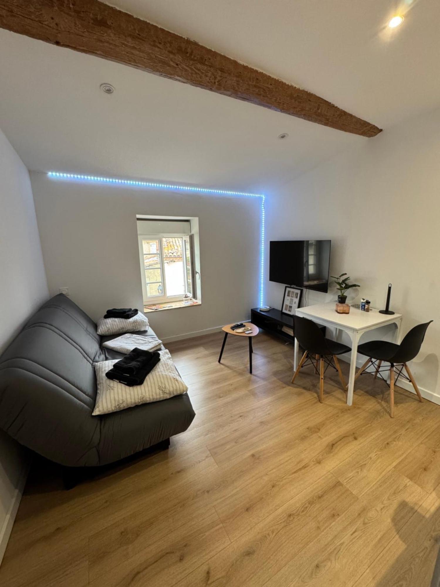 La Perle Limouxine -studio Apartment *
